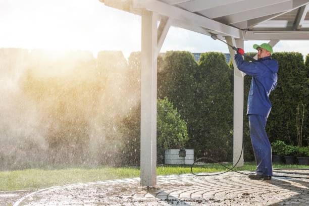 Best Roof Washing  in Kent Acres, DE